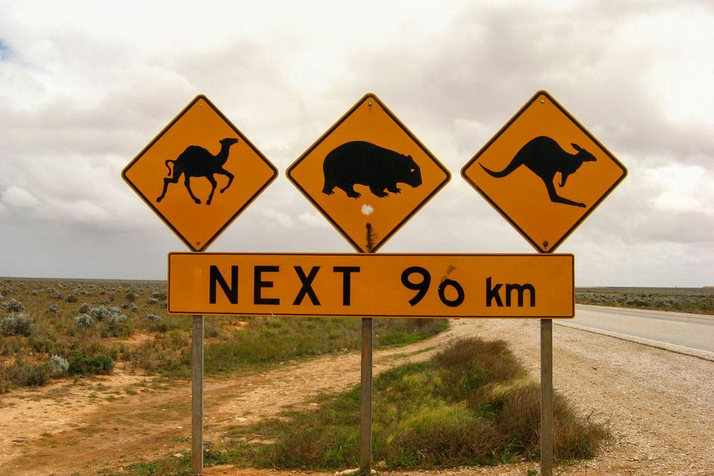 AUSSIE FUN FACT FRIDAY